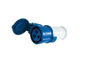 image de Fiche femelle | CE 17